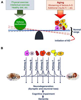 Multi-Targets: An Unconventional Drug Development Strategy for Alzheimer’s Disease